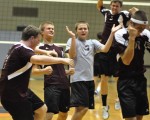 Falcons soar into state volleball meet